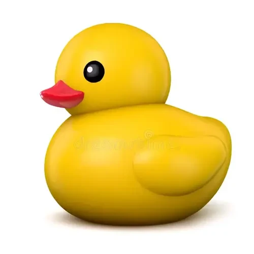 Duck Toy